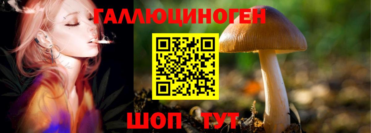 Галлюциногенные грибы прущие грибы  продажа наркотиков  Вход с VPN  Сатка  Псилоцибиновые грибы мухоморы 