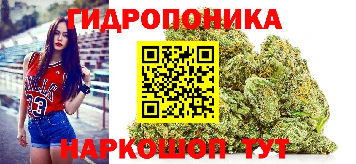 Канабис план Сатка